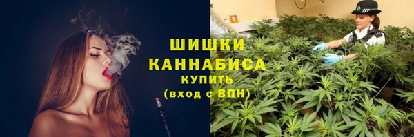 Альфа ПВП Осинники
