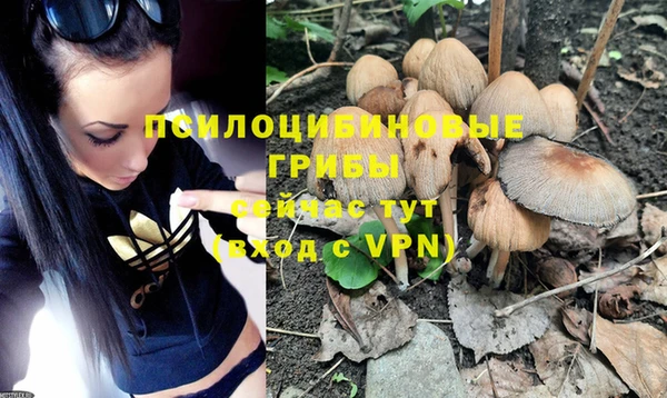 Альфа ПВП Няндома