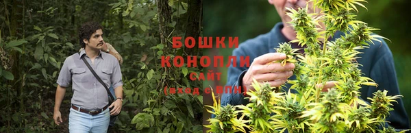 Альфа ПВП Осинники