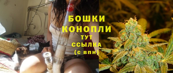 Альфа ПВП Осинники